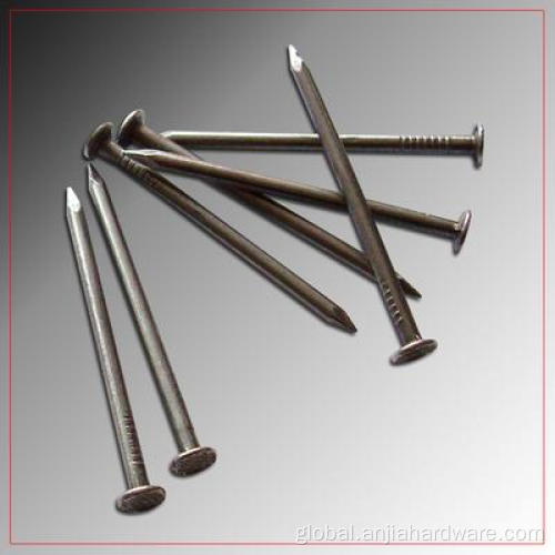 Common Iron Nail Polished Common Iron Nails 3 Inch for Construction Factory